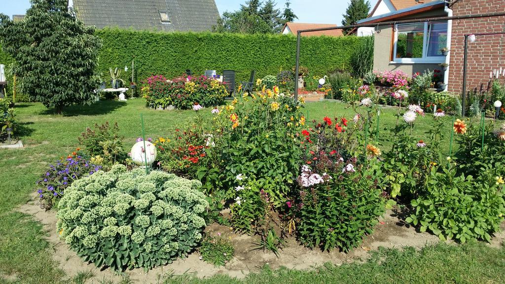 Ferienhaus Storchenweg Mahlzow 外观 照片
